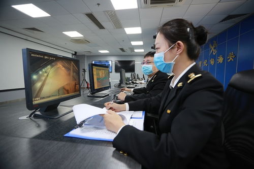 上海港进口医疗器械报关经验总结